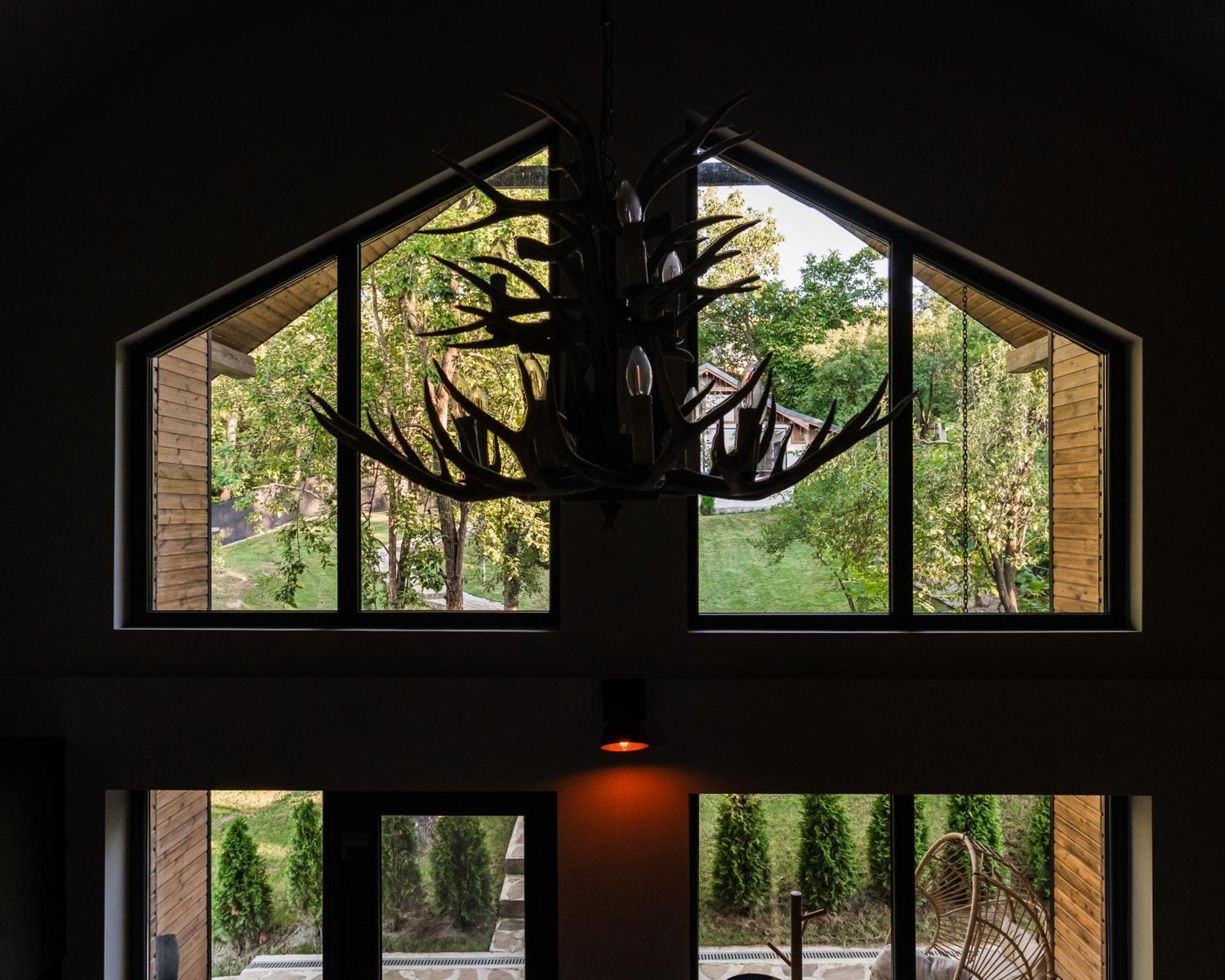 Cervus * Magura (Buzau)