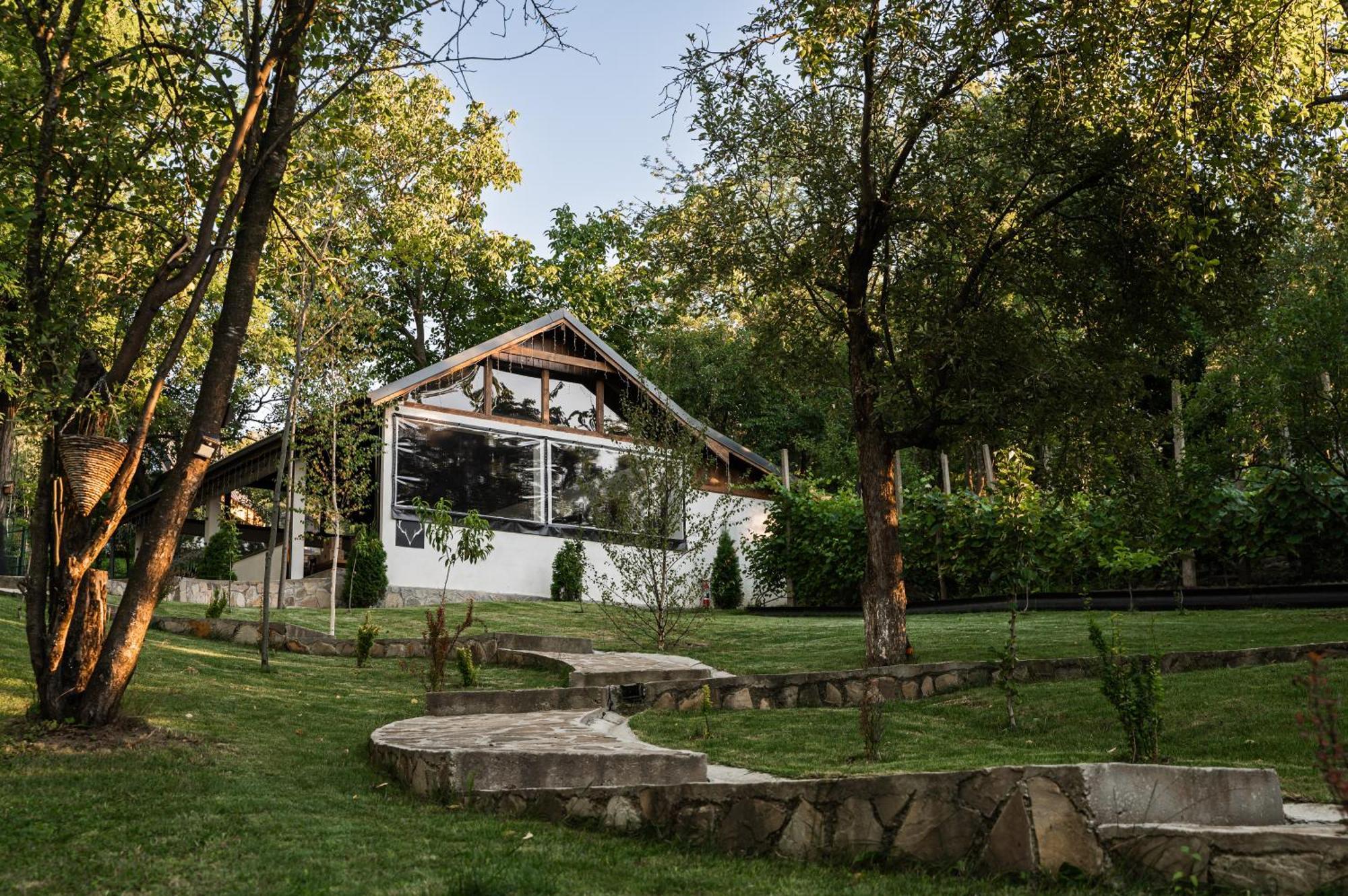 Chalet Cervus Măgura