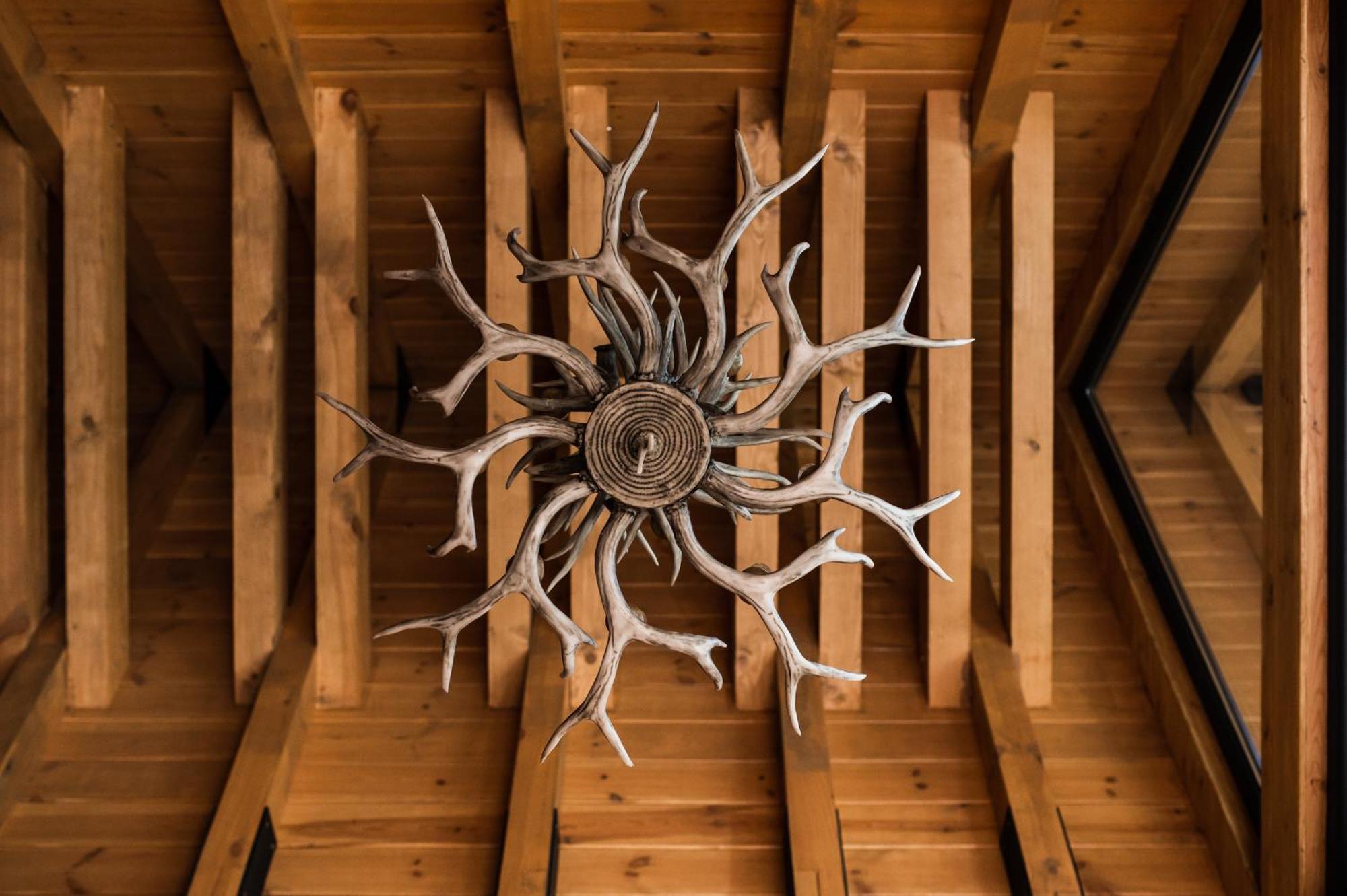 Cervus *