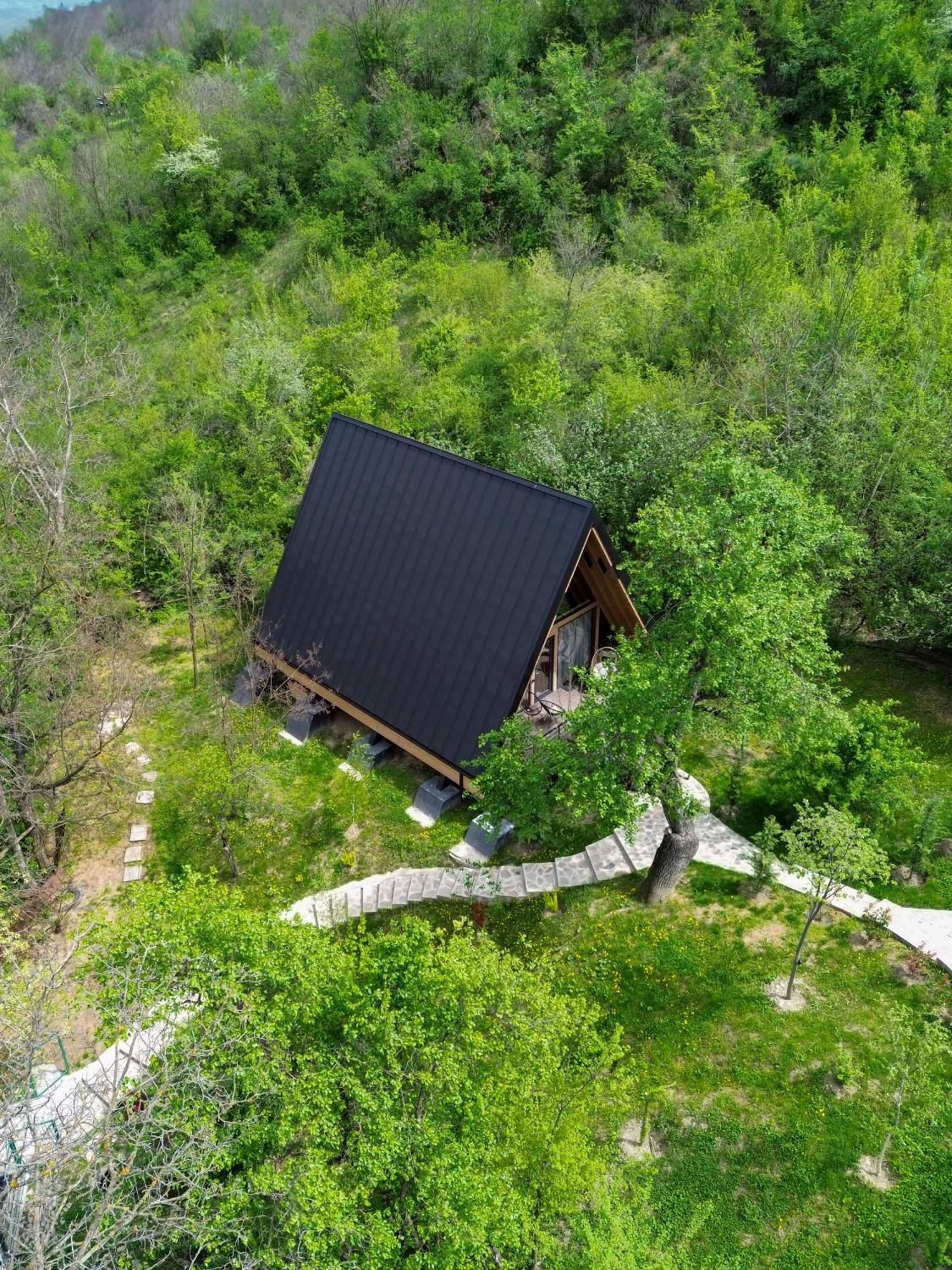 Cervus Chalet Magura (Buzau)