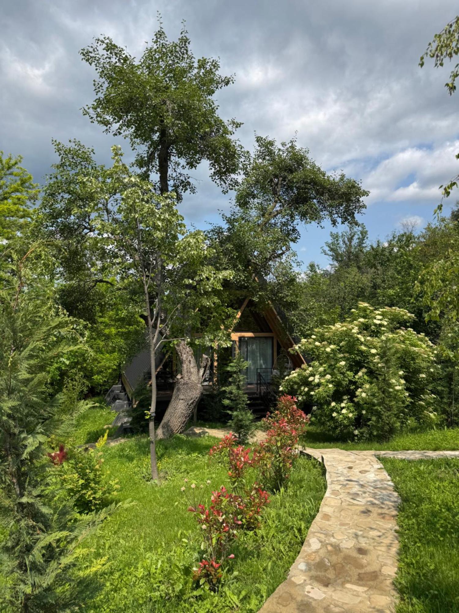Chalet Cervus